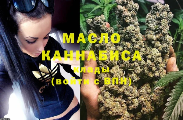 дживик Абаза