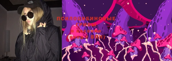 стафф Покровск