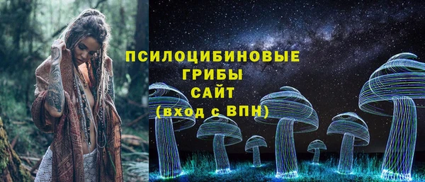 дживик Абаза