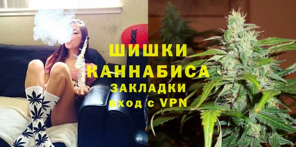 дживик Абаза